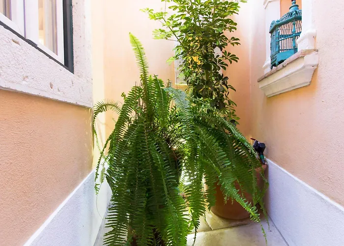 Domingues Lisboa