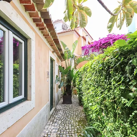 Domingues Вилла